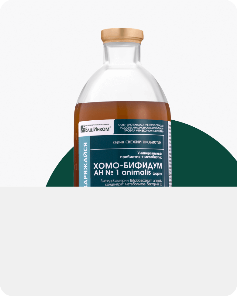 Хомоспорин - пробиотик для ЖКТ со 100% натуральным составом без ...