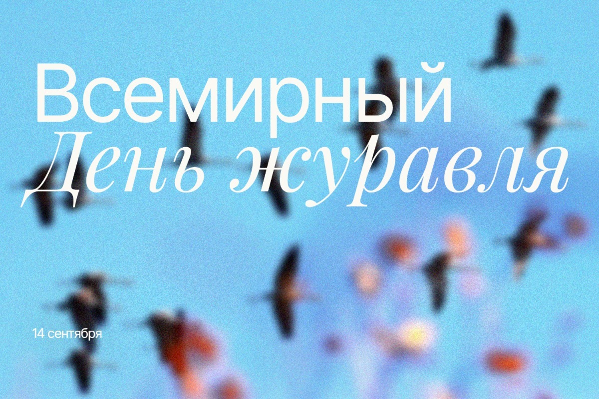 Всемирный день журавля 2025 14 сентября geekhostel news