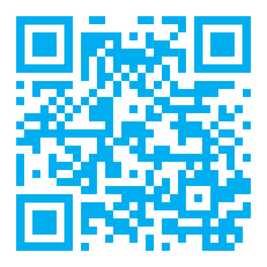 website icon