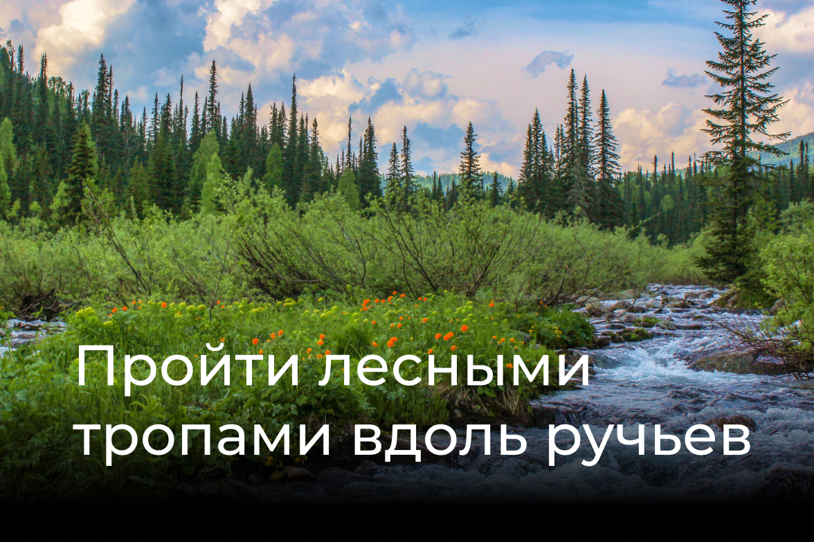 Лето 2024 поход в горы на 3 дня - Поднебесные Зубья: Средний Зуб