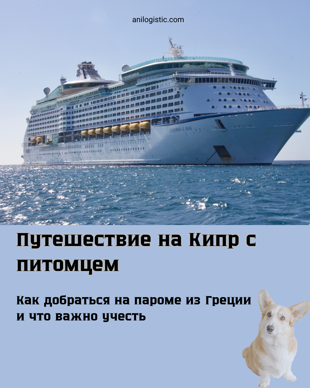 Путешествие на Кипр с питомцем. Как добраться на пароме из Греции
