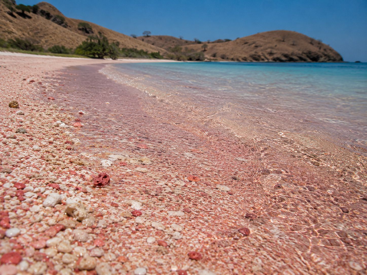 Pasir merah muda alami di Pink Beach Komodo