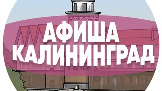 Новости Калининград