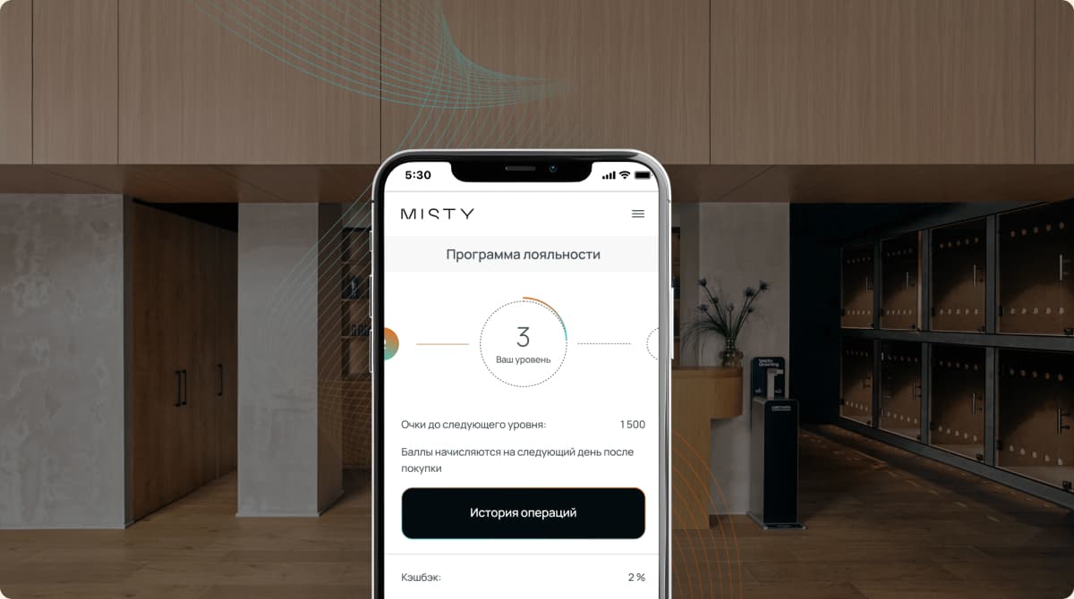 Программа лояльности Misty