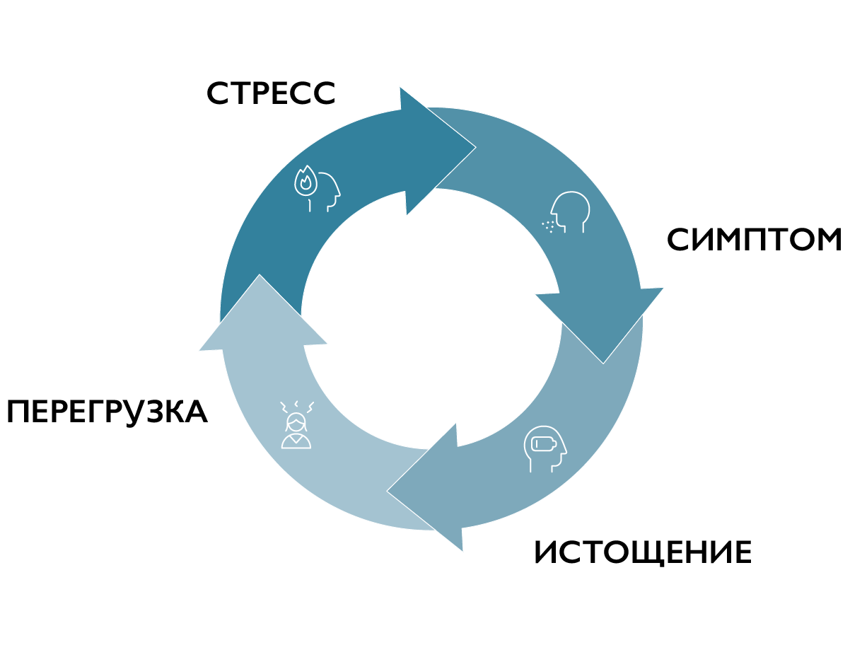 Порочный круг поллиноза: стресс - симптом - истощение - перегрузка