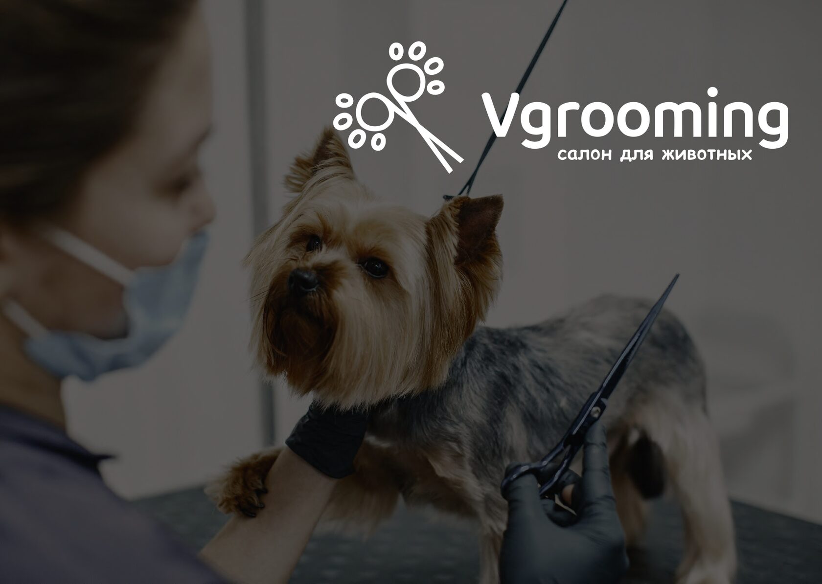 Салон для животных Vgrooming г. Прокопьевск | Стрижка животных, груминг