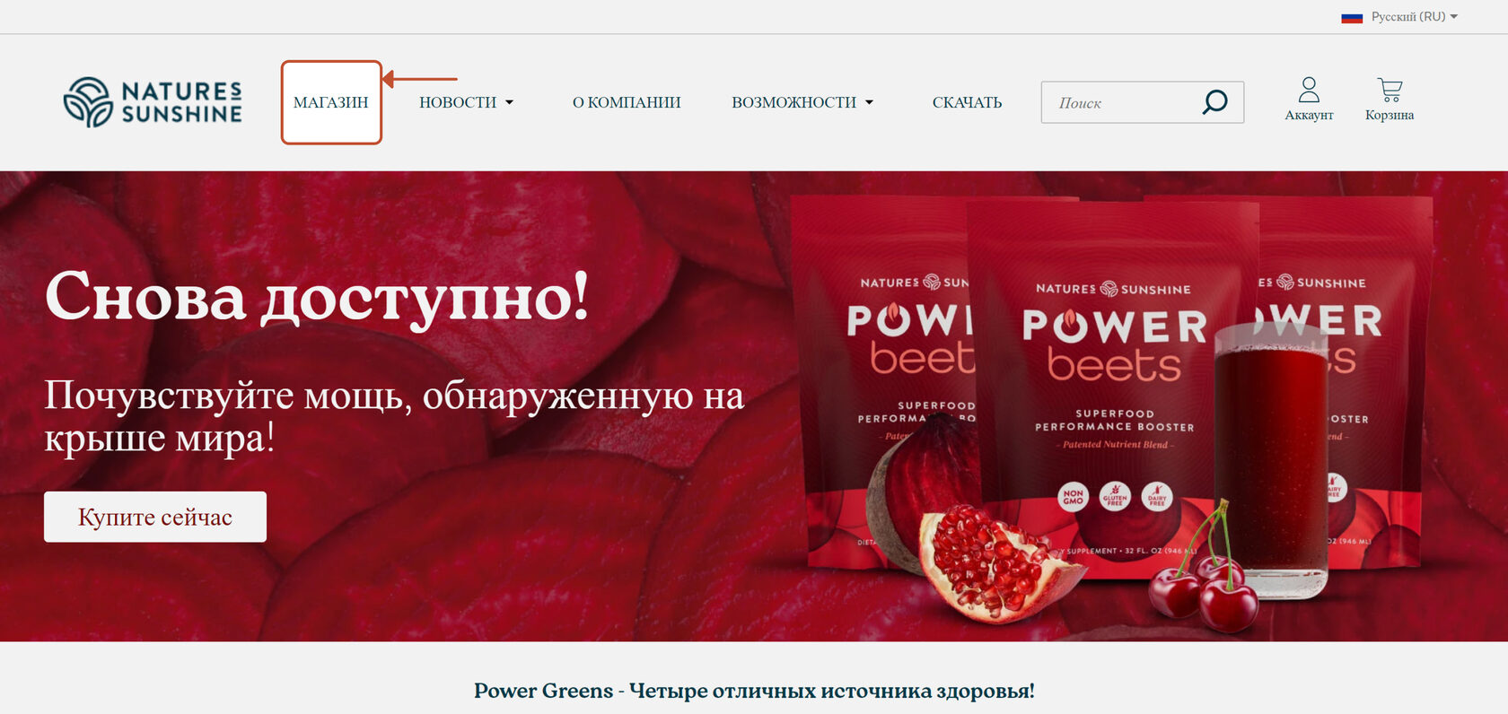 formirovanie-zakaza-s-kompyutera-nsp-v-evrosoyuze