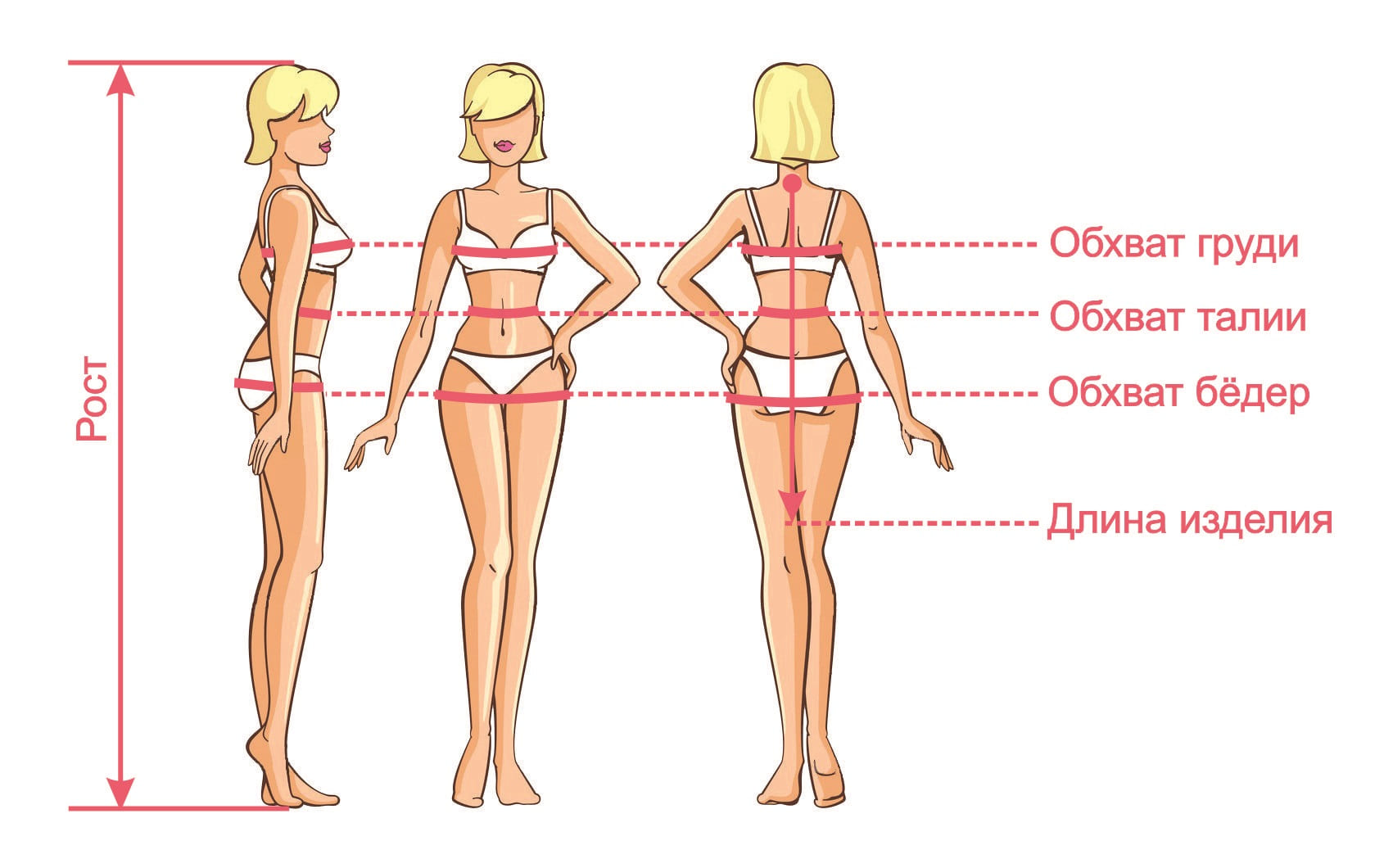 как мерить объем груди у женщин фото 43