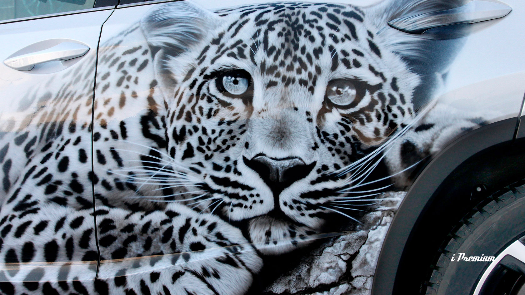 Машина леопард