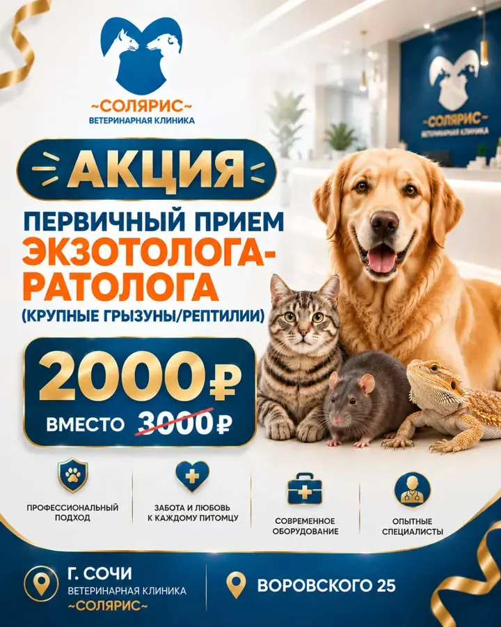 AI-креатив для акции