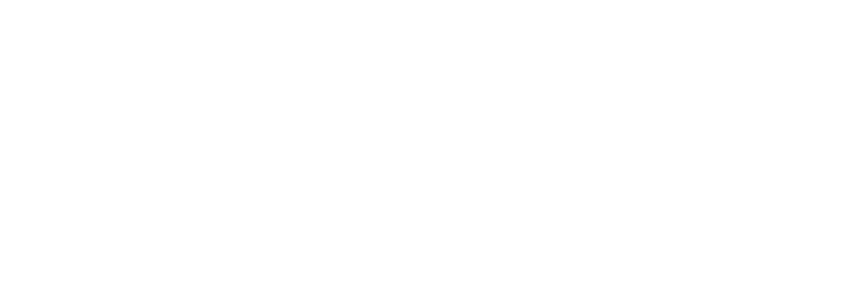 dina-interiors