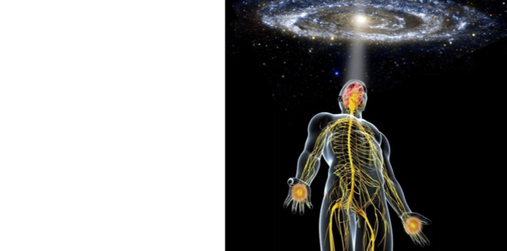 Валерий Уваров Пирамиды наследие богов, Кадуцеи Гора, Кадуцеи Ба-Ка, Жезлы Гора, Цилиндры фараона, Жезлы Египтян, Жезлы Ра