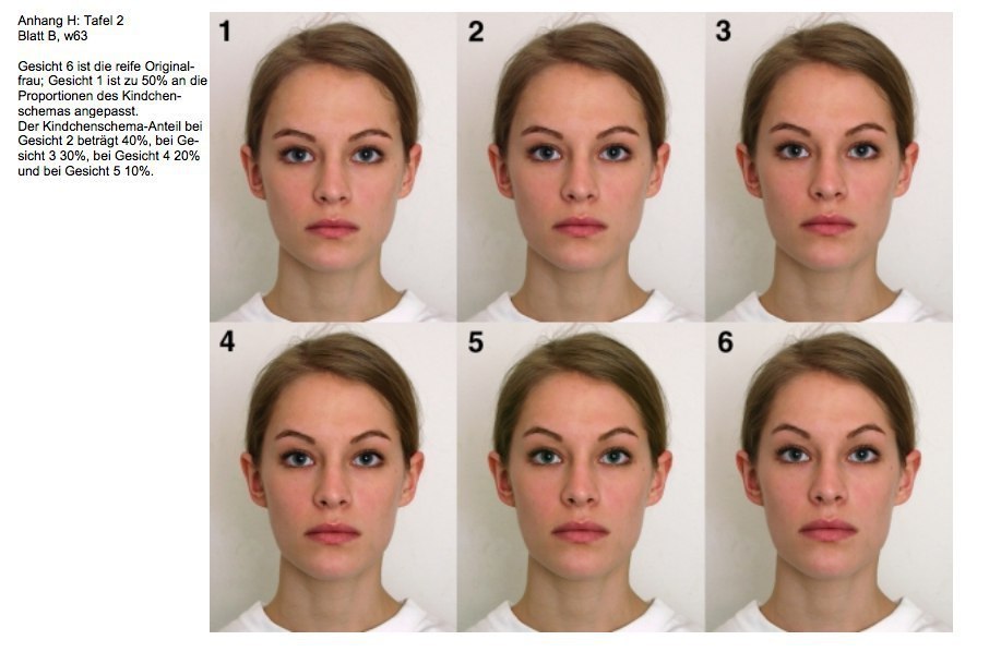 Изучать какое лицо. Исследование лица. Как определить Схожесть лиц. Задания для распозная по внешности.
