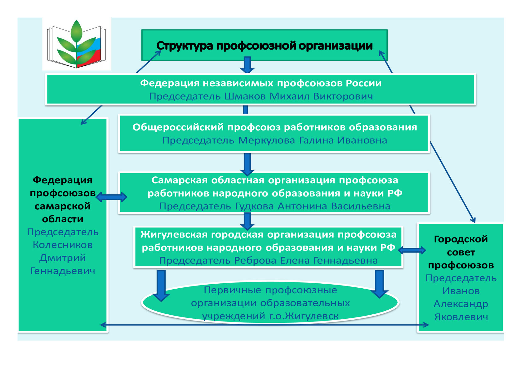 Схема профсоюзной организации структура первичной