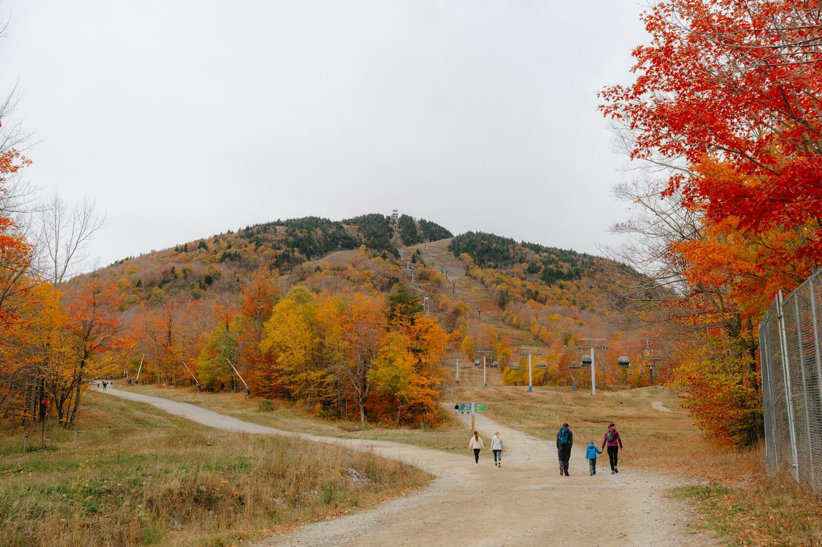 Природа и прогулки в Sofrino Park