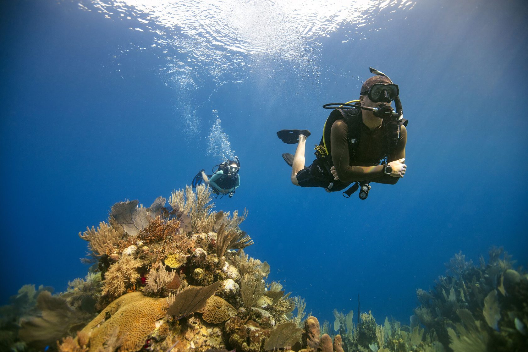 Master Scuba Diver Padi