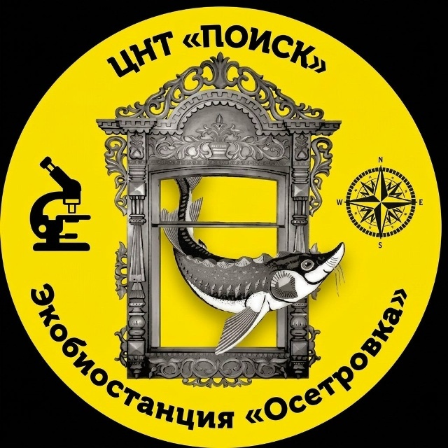 Осетровка
