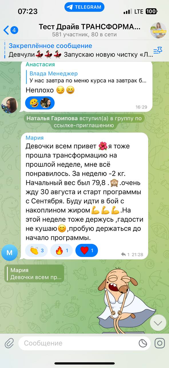 Переписка в чате участниц