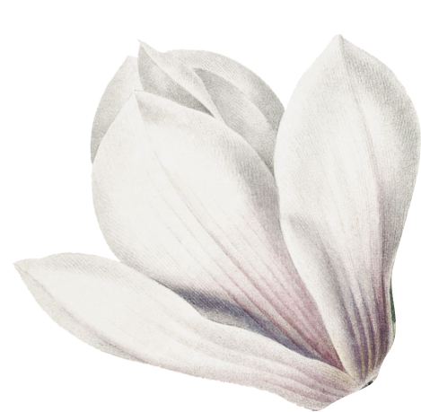 натуральная косметика, магазин профессиональной косметики, крем для ног, крем для ног с мочевиной, крем для ног купить, масло для ногтей, масло монарды для ногтей, масло для ногтей купить, косметика для ногтей, дезодорант для ног