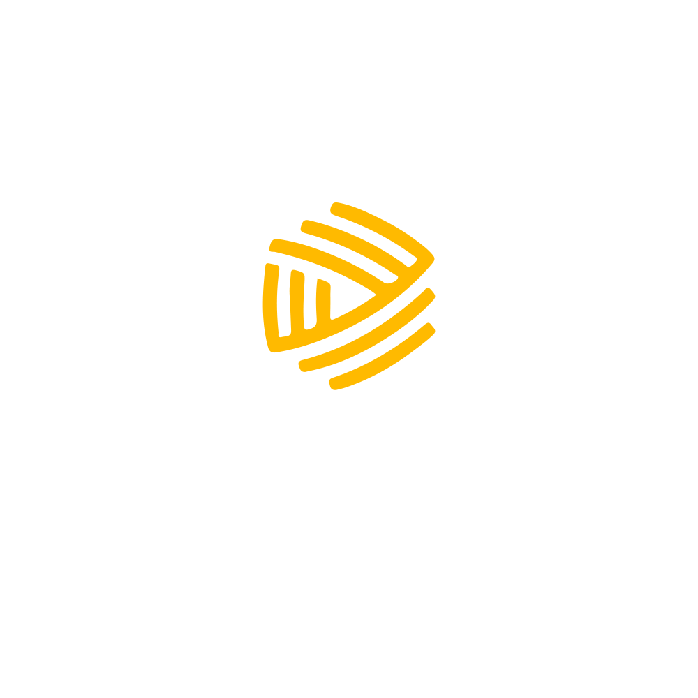 Логотип smart safety