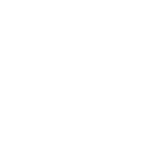 website icon