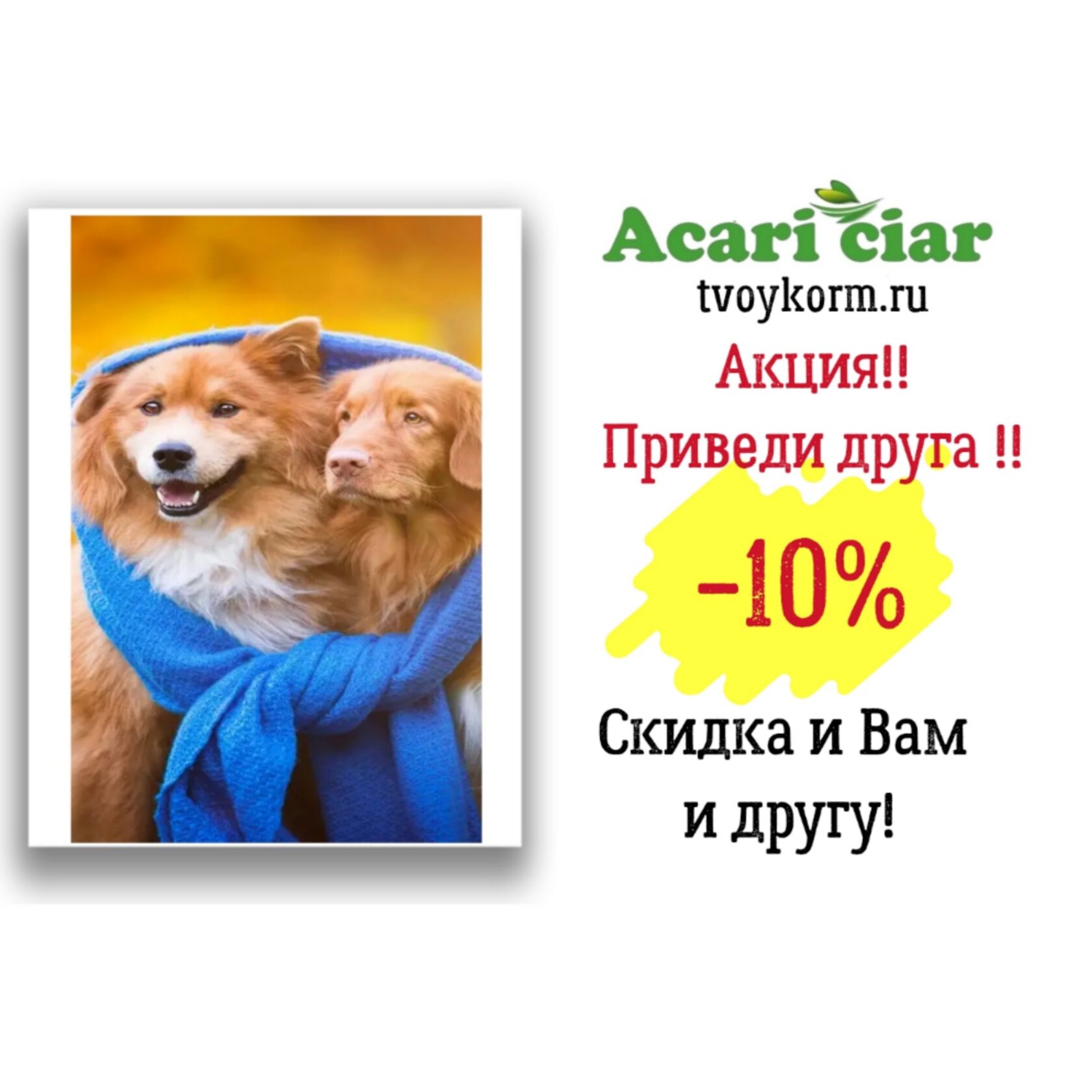 Твой корм Севастополь. Акари Киар для кошек. Корм Акари для щенков Севастополь. Какой интернет магазин для животных продает Acari Ciar.