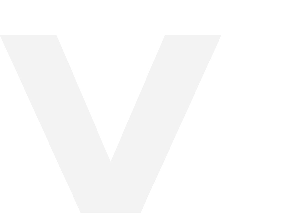 VV Travel
