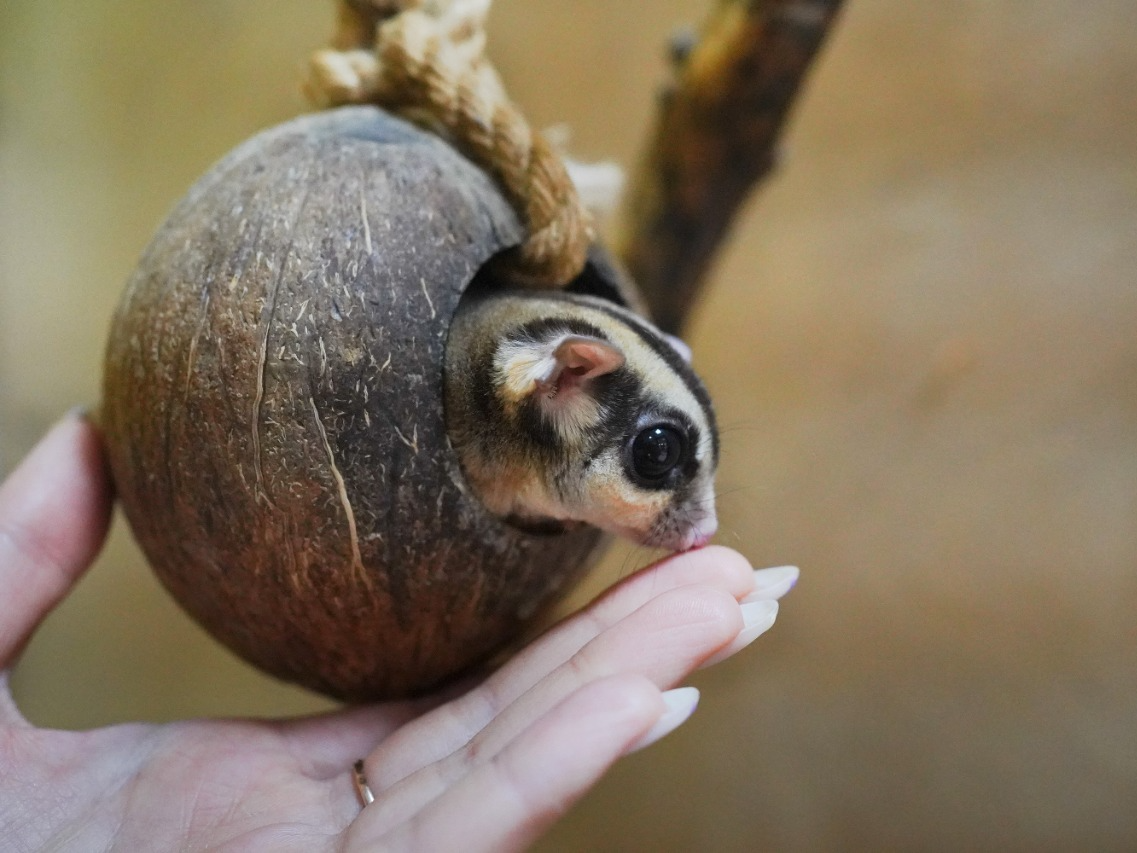 фото парня и девушки на романтическом свидании в публичном месте