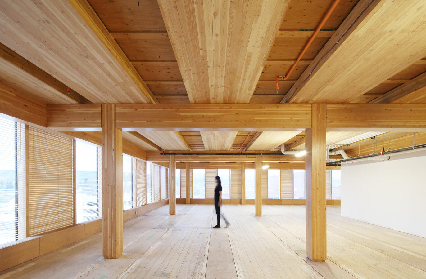 CLT Cross Laminated Timber