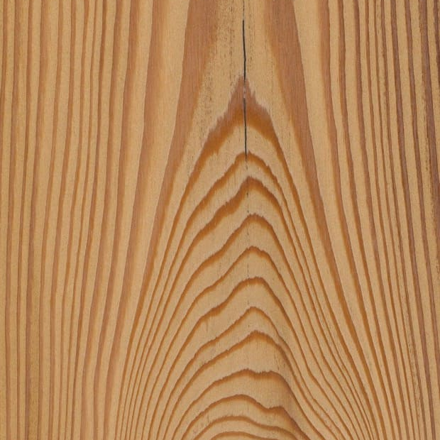 Структура дерева лиственница