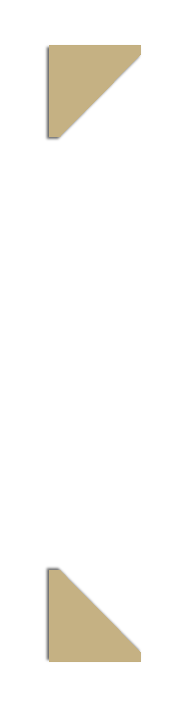 Семья Котовых