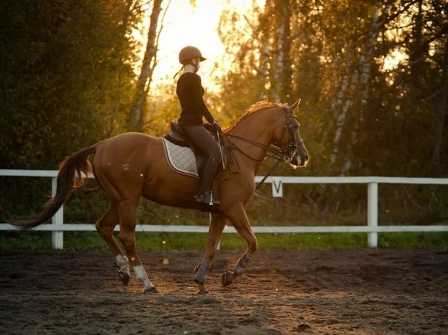 фото нанесения макияжа на лицо девушки 
