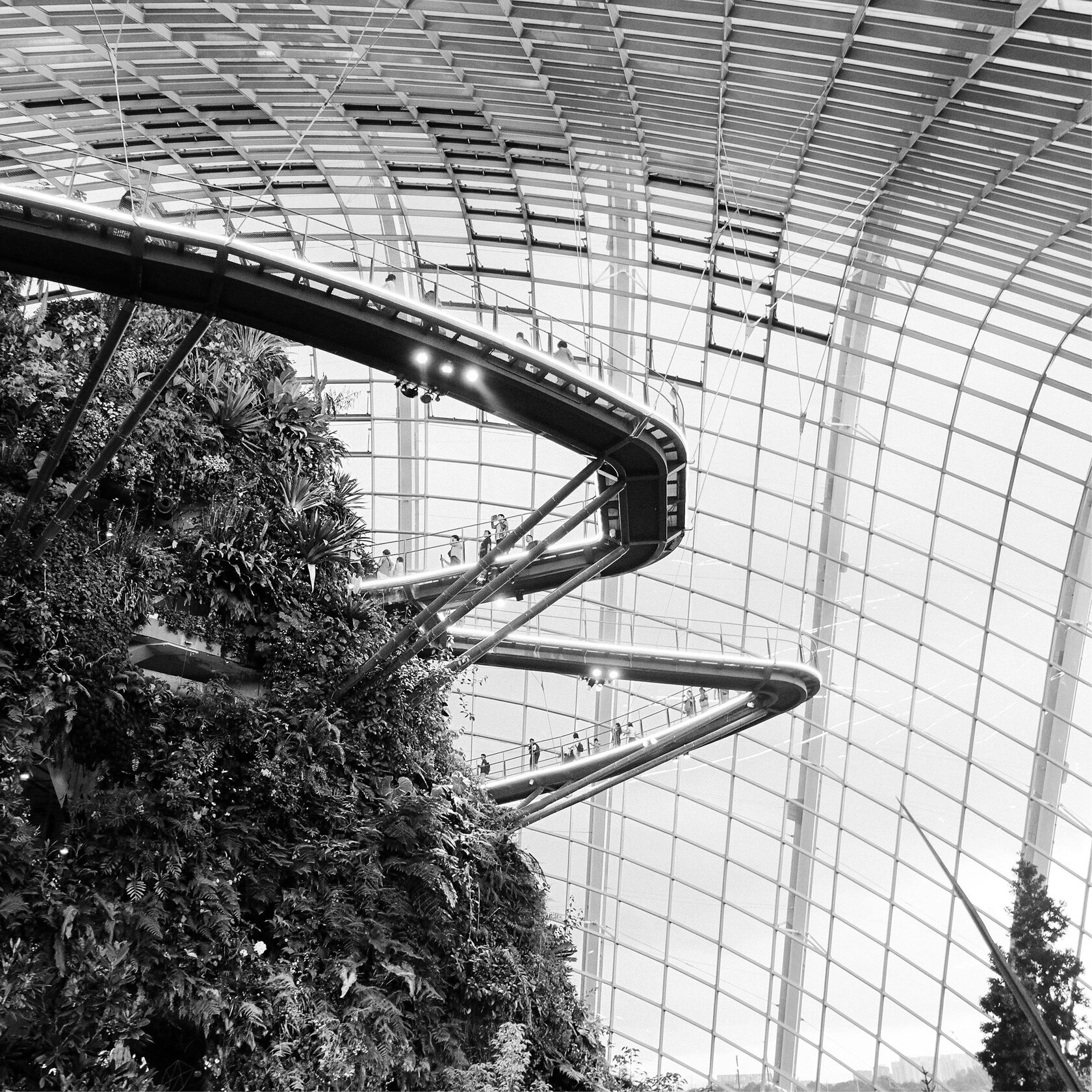 Чёрно-белая фотография гигантской статуи бога Муругана у входа в пещеры Батур (Batu Caves) в Малайзии. На заднем плане видна лестница, ведущая к пещерам, окружённая густой растительностью и скальным массивом. Монументальная фигура статуи доминирует в композиции, подчёркивая религиозное и культурное значение этого места. 