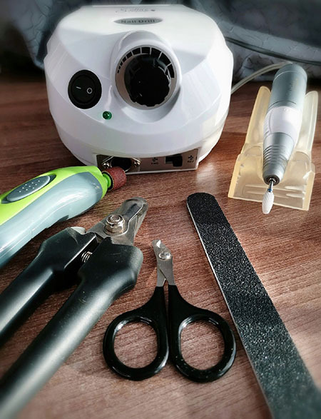 Лапка шпица с корректно подрезанными когтями