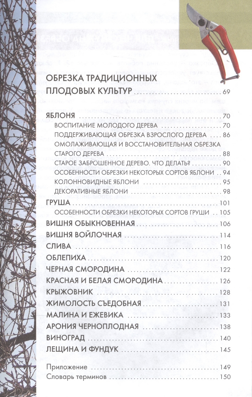 Кудрявец формирование и обрезка плодовых деревьев. Пескова обрезка плодовых деревьев и кустарников. Обрезка плодовых деревьев и кустарников. Пескова обрезка плодовых деревьев и кустарников. Книга по обрезке деревьев и кустарников.