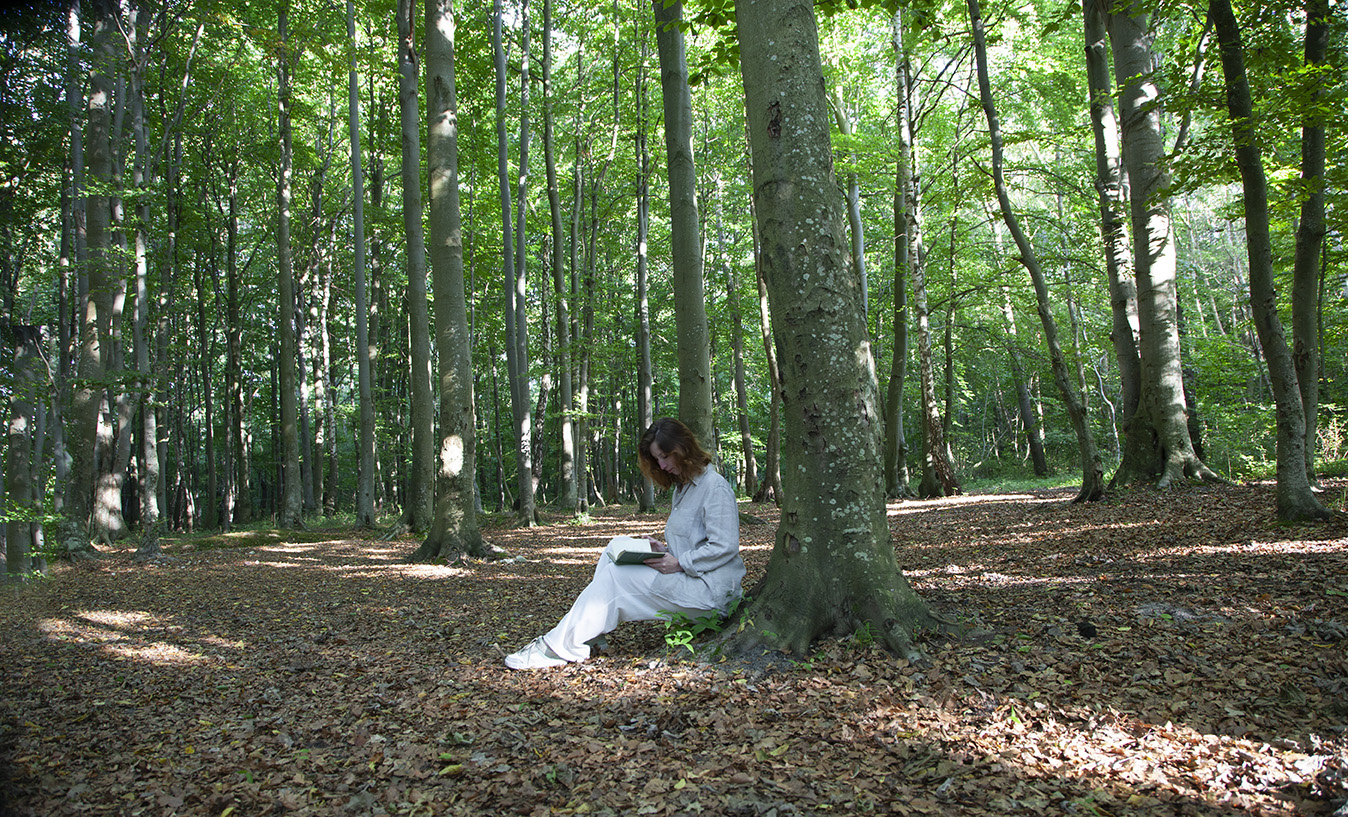 фотография пляжа