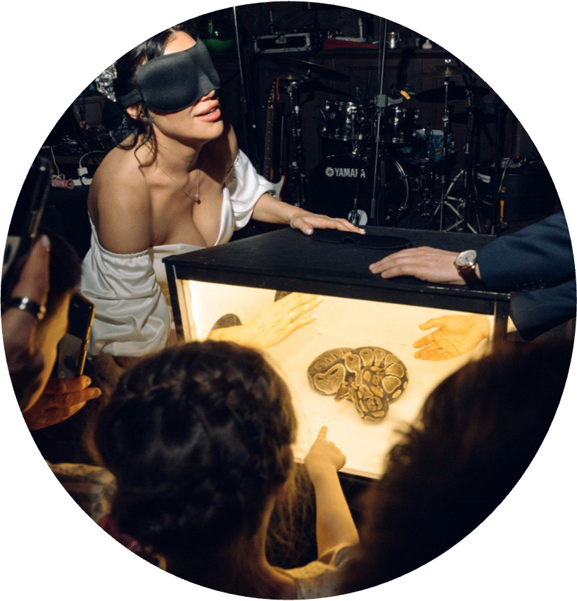 Что в коробке