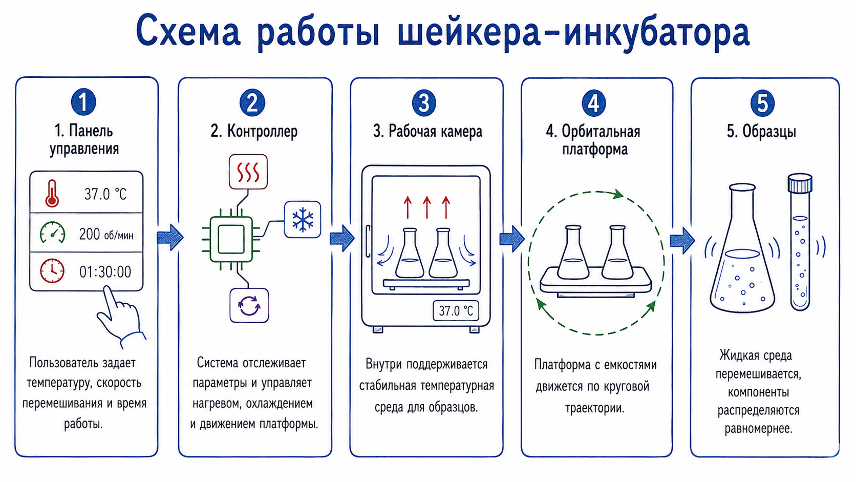 Схема принципа работы шейкера-инкубатора: контроллер поддерживает температуру в рабочей камере, а орбитальная платформа перемешивает образцы в закрепленных емкостях