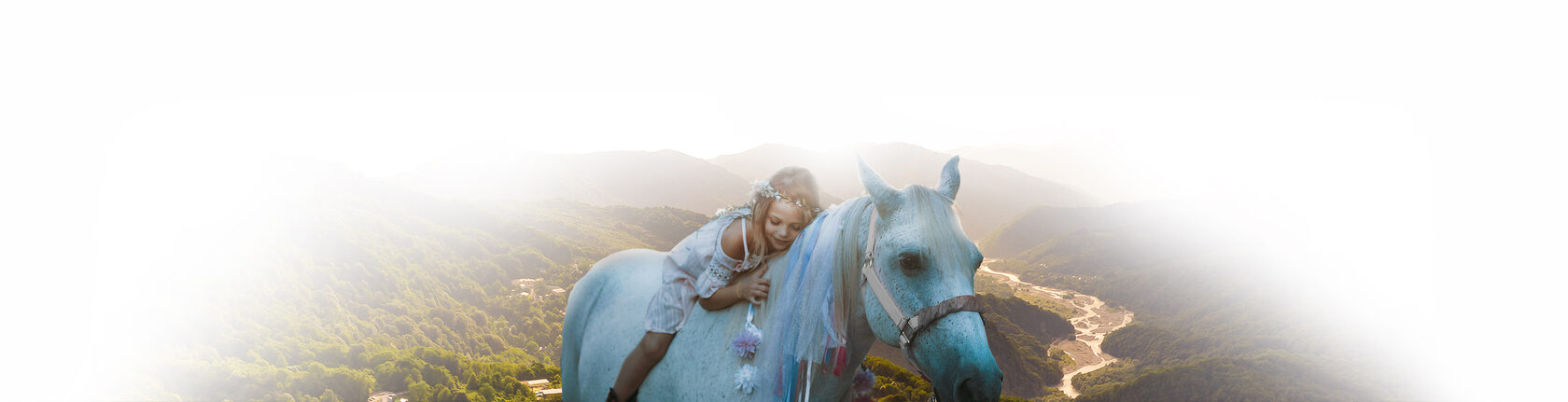 Конный клуб "Фердинанд" в Сочи