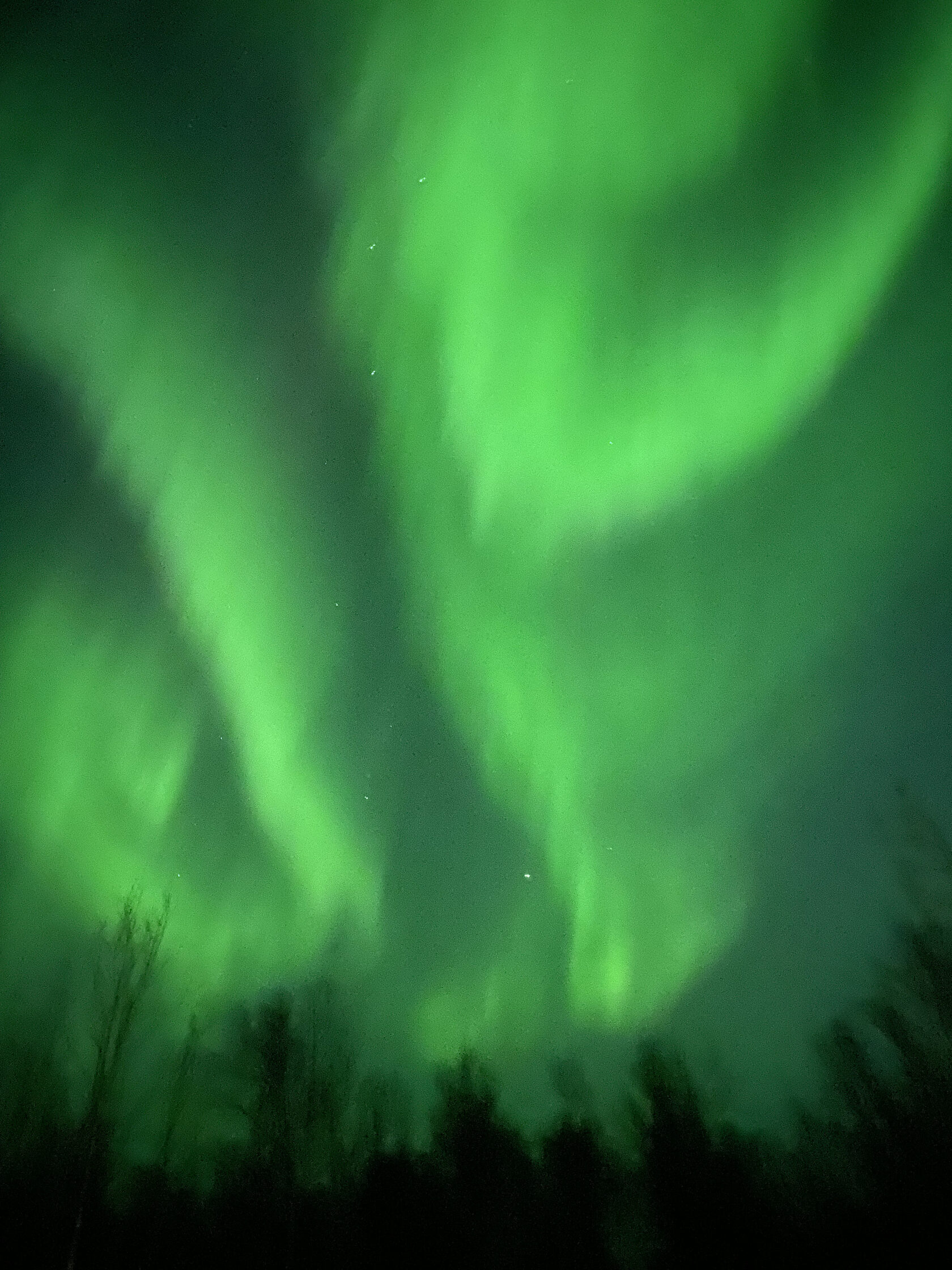 Туры в полярную ночь