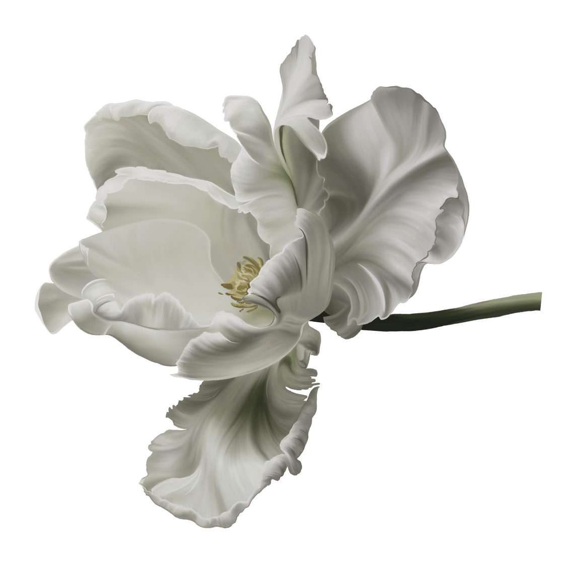 Электронные свадебные пригласительные