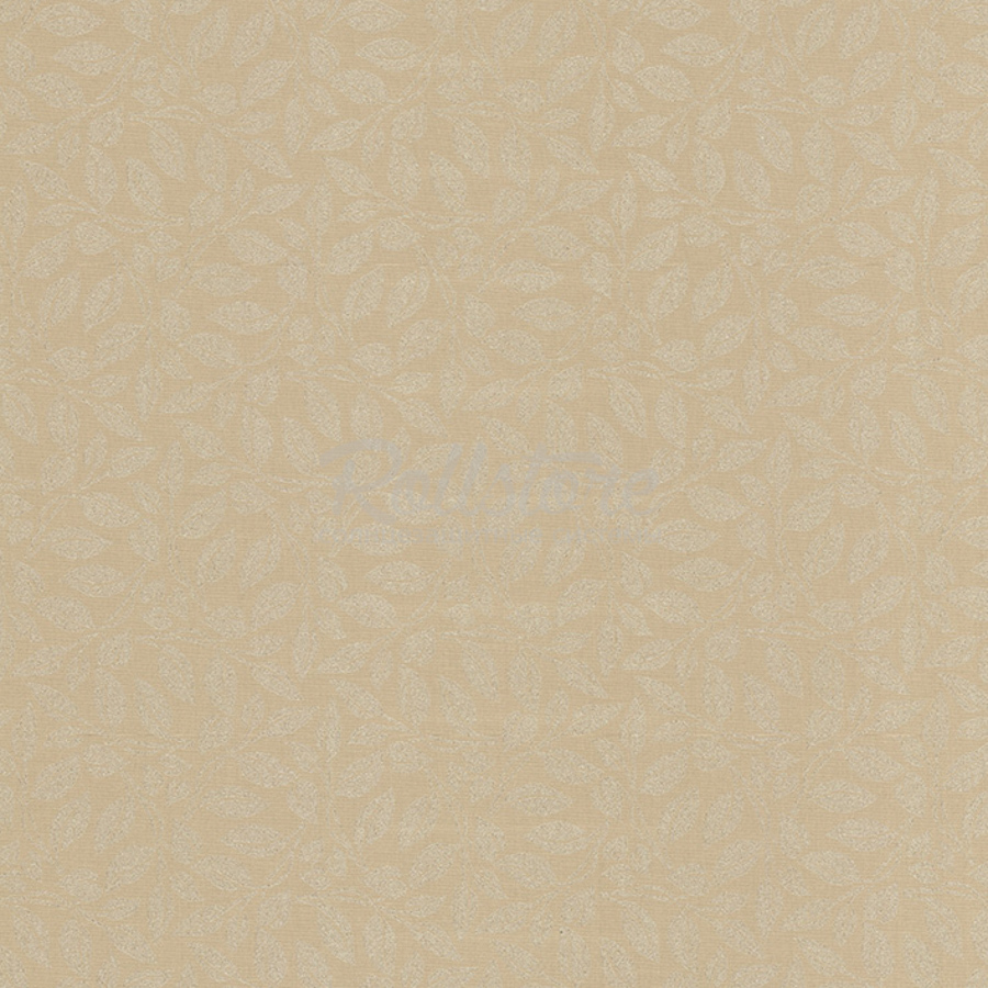 Анже апельсин