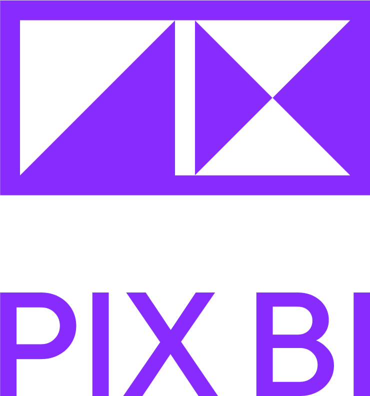 Curso Introductorio de PIX BI