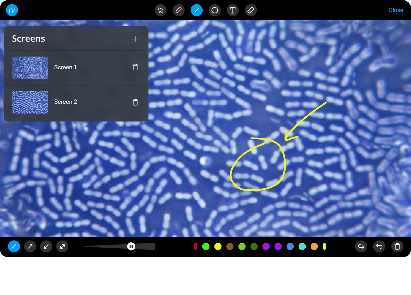 рисовать на изображении микроскопа