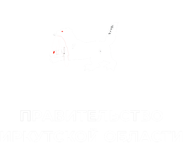Правительство Иркутской области