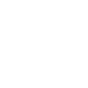 website icon