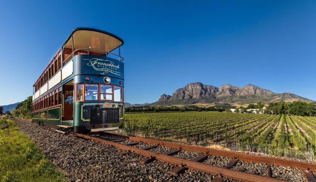 Винный трамвай Franschhoek Wine Tram среди виноградников