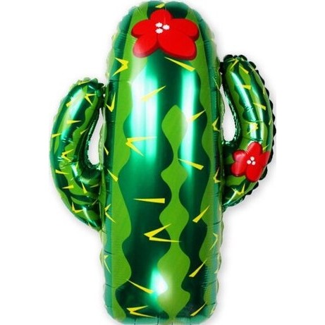 Цветущий кактус