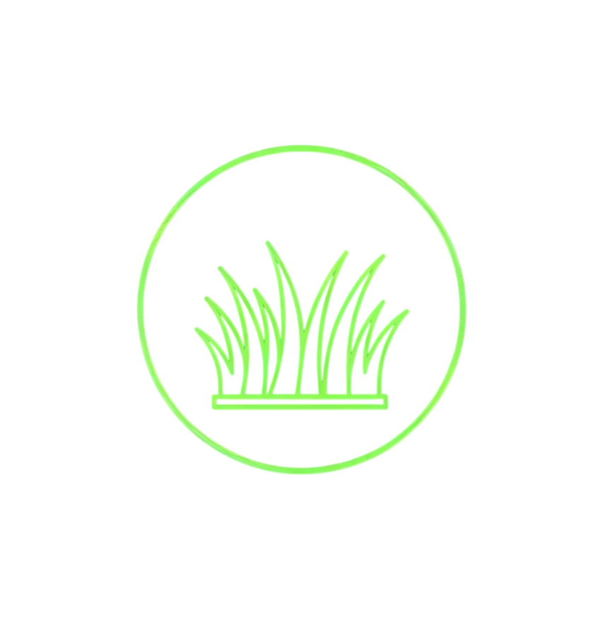 Премиум газон