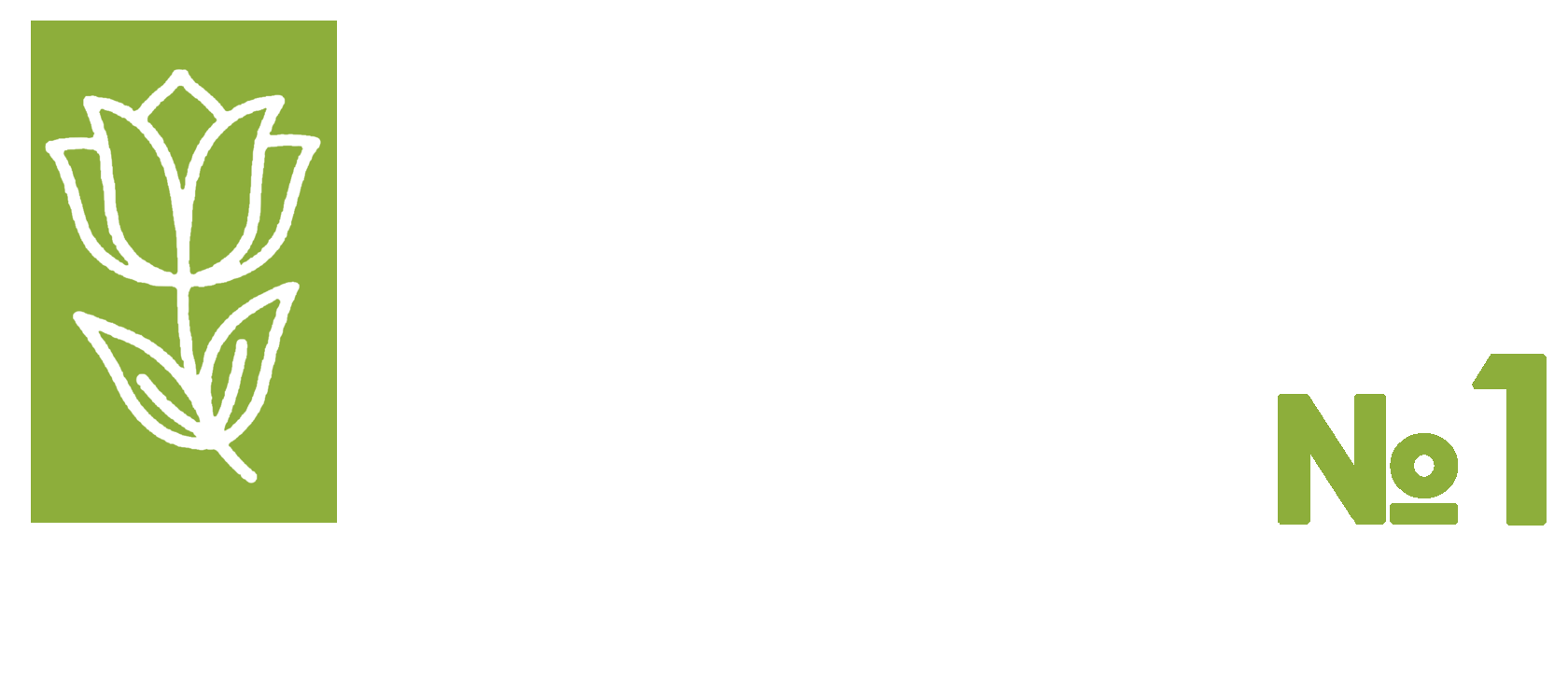  Главная 